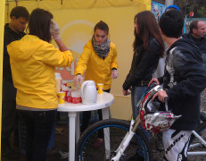 Testing. Lipton