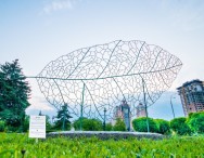 “Timotei. The Nature of a Big City”.  Art Project.