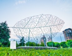“Timotei. The Nature of a Big City”.  Art Project.