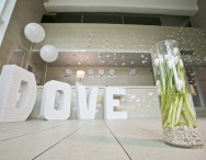Media – event. “Dove. Beauty Day.”
